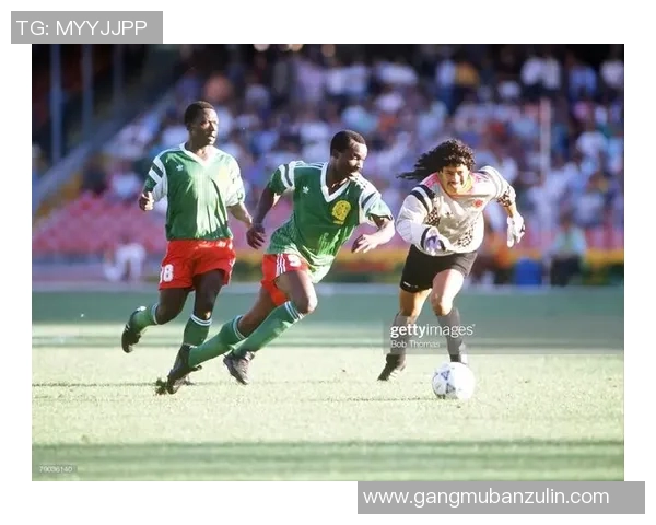 哥伦比亚与喀麦隆的浪漫婚礼盛典探秘与文化交融之旅